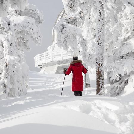 Chalets Du Domaine - De Luxe Notre-Dame-Des-Bois Bagian luar foto