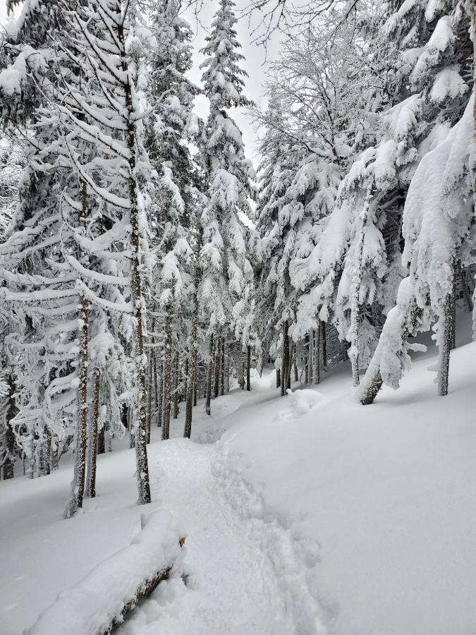 Chalets Du Domaine - De Luxe Notre-Dame-Des-Bois Bagian luar foto