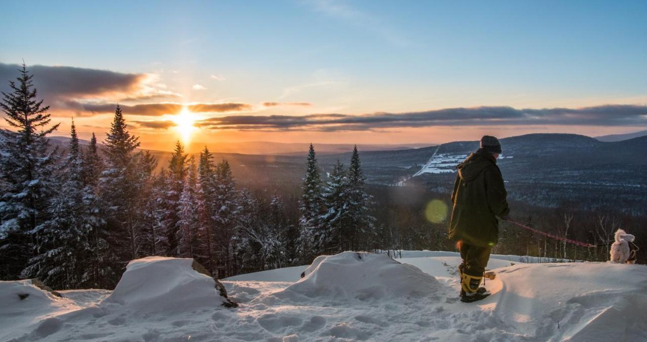 Chalets Du Domaine - De Luxe Notre-Dame-Des-Bois Bagian luar foto