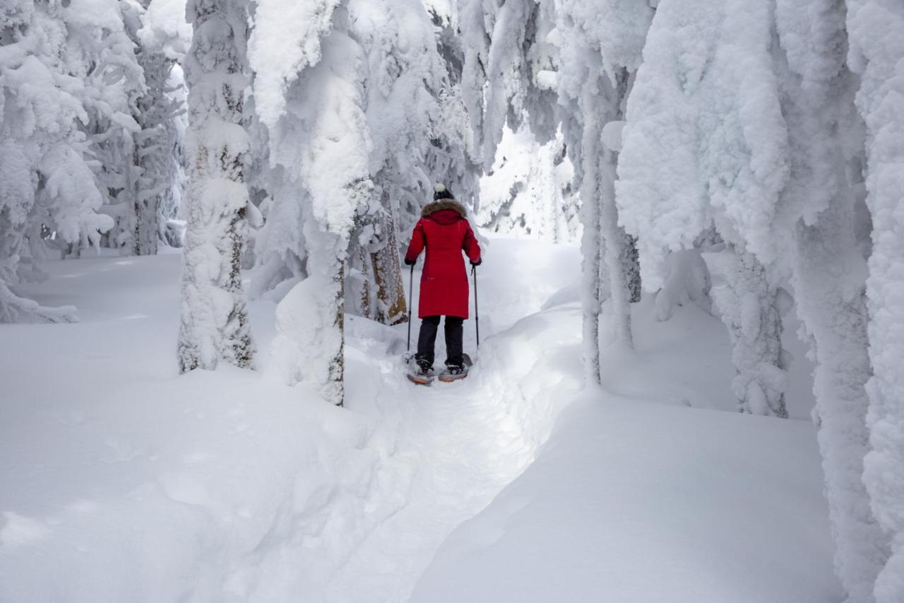 Chalets Du Domaine - De Luxe Notre-Dame-Des-Bois Bagian luar foto